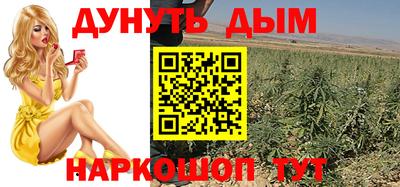 Альфа ПВП Краснознаменск