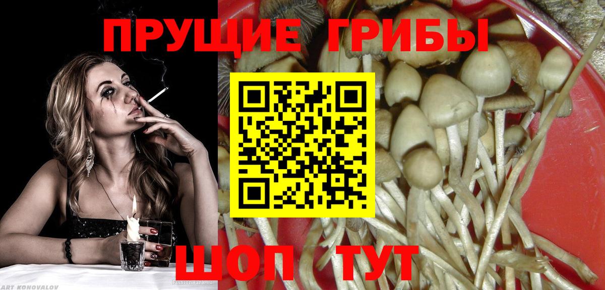 Галлюциногенные грибы Cubensis  Вход с VPN  Всеволожск 