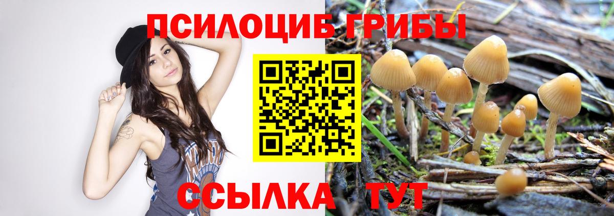 Галлюциногенные грибы Magic Shrooms Всеволожск